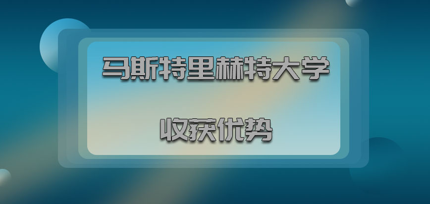 马斯特里赫特大学mba收获到的优势