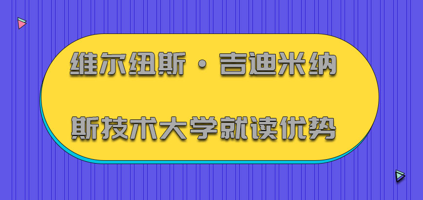 维尔纽斯·吉迪米纳斯技术大学mba就读的优势