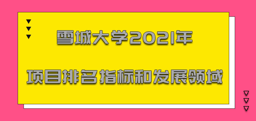 雪城大学mba2021年的项目排名指标和发展领域