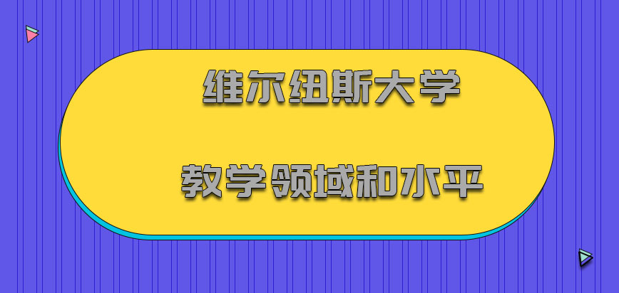 维尔纽斯大学mba教学领域和水平