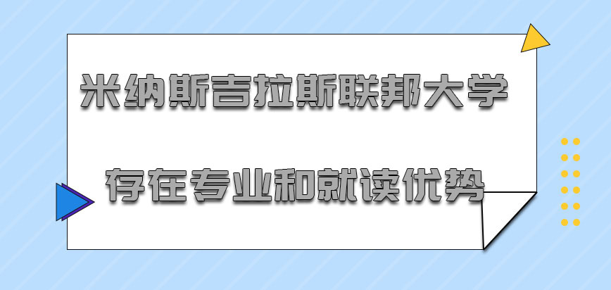 米纳斯吉拉斯联邦大学mba存在的专业和就读优势