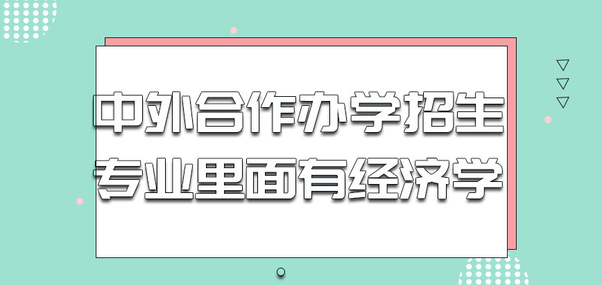 中外合作办学招生专业里面有经济学吗