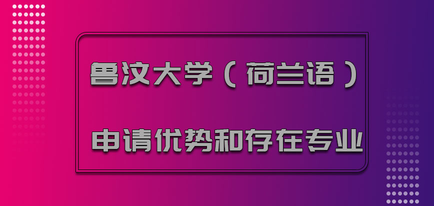 鲁汶大学mba申请优势和存在的专业