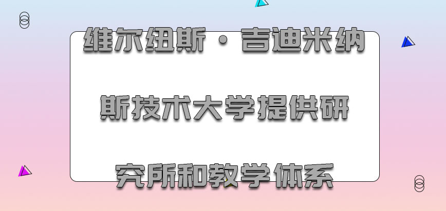 维尔纽斯·吉迪米纳斯技术大学mba提供的研究所和教学体系