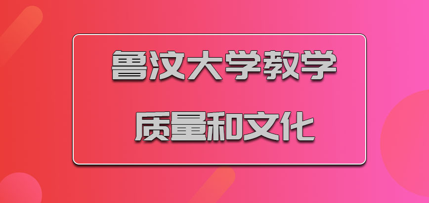 鲁汶大学mba教学质量和文化