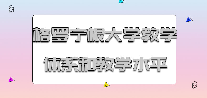 格罗宁根大学mba教学体系和教学水平