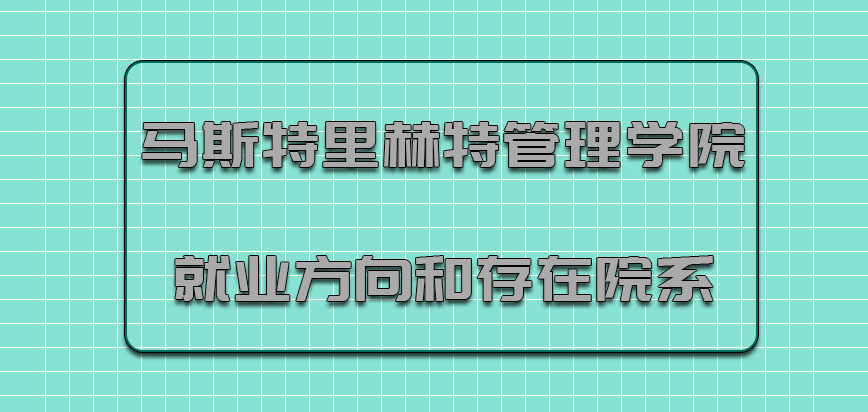 马斯特里赫特管理学院mba就业方向和存在的院系