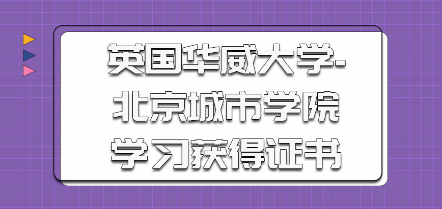 英国华威大学的学习获得的证书