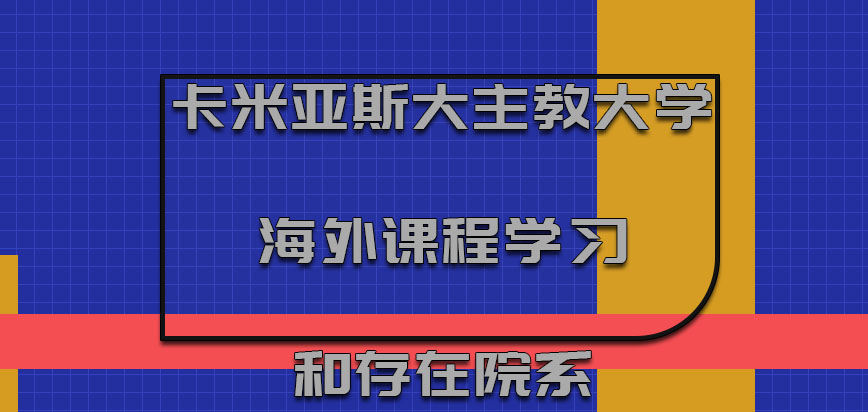 卡米亚斯大主教大学mba海外课程学习和存在的院系