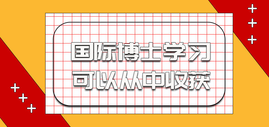 国际博士参加学习的话考生可以从中收获