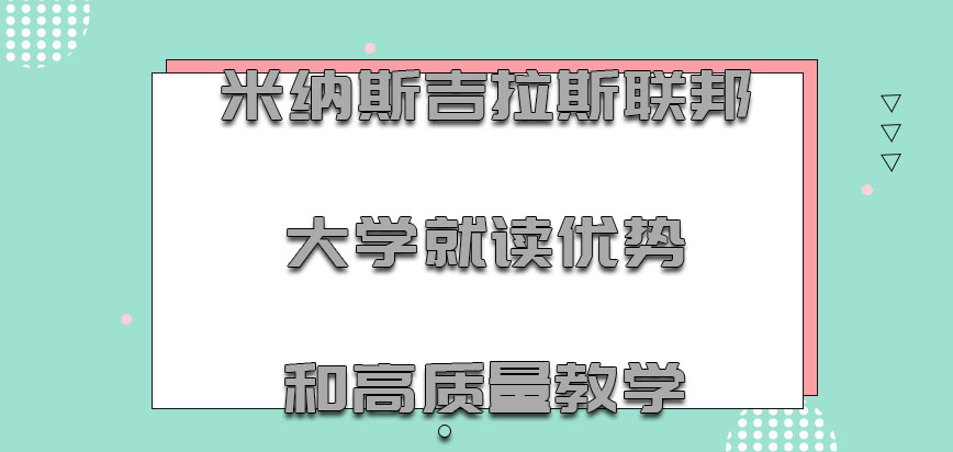 米纳斯吉拉斯联邦大学mba就读优势和高质量教学