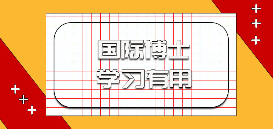 国际博士的学习有用