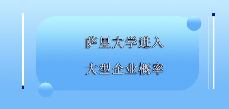 萨里大学mba进入大型企业的概率越来越高