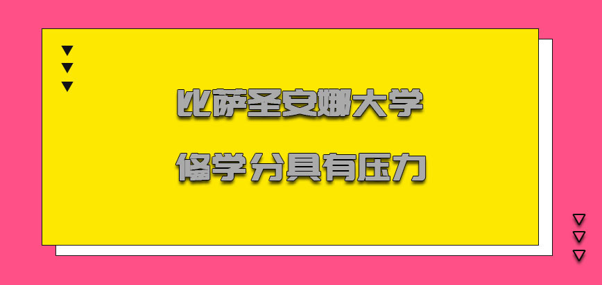 比萨圣安娜大学mba修学分的过程也是具有一定的压力