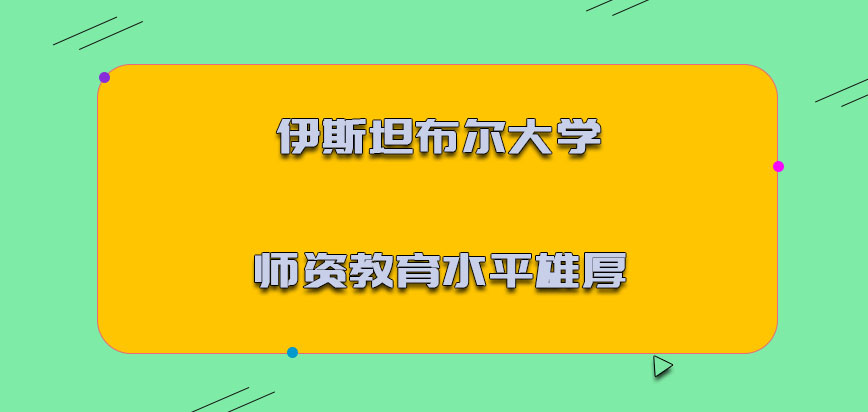 伊斯坦布尔大学mba师资教育水平是十分雄厚的