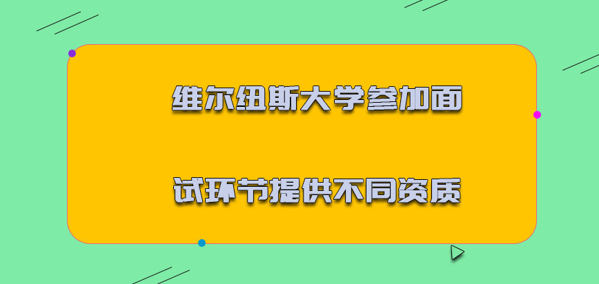 维尔纽斯大学mba参加面试的环节必须要提供不同的资质