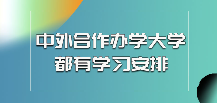 中外合作办学的大学都是有学习安排的