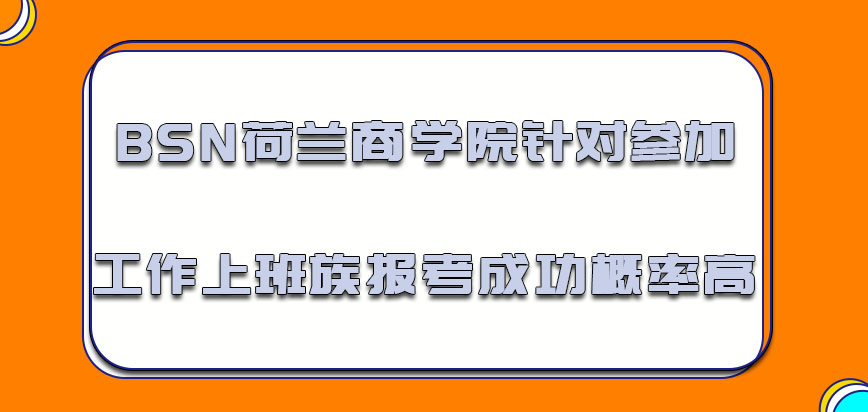 BSN荷兰商学院针对参加工作的上班族报考成功的概率高