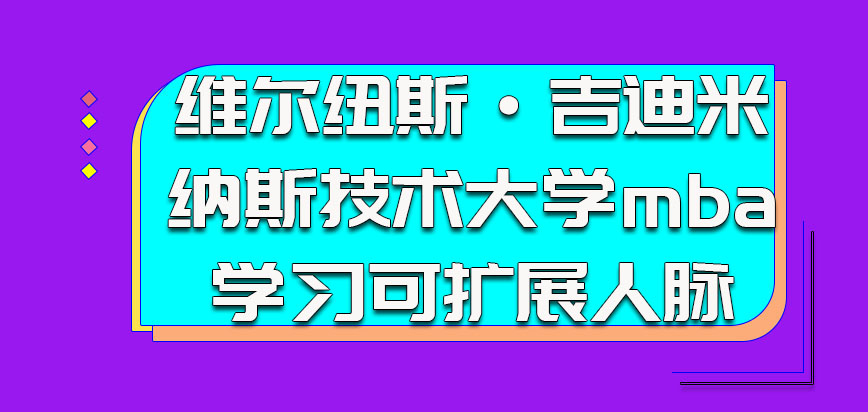 维尔纽斯·吉迪米纳斯技术大学mba参加学习可以扩展人脉