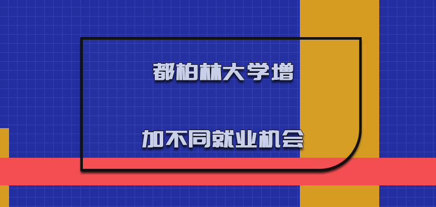 都柏林大学mba增加不同的就业机会