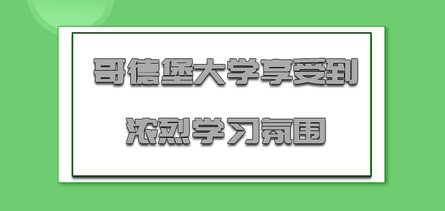 哥德堡大学mba享受到了浓烈的学习氛围