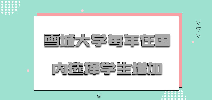 雪城大学mba每年在国内可以选择的学生增加