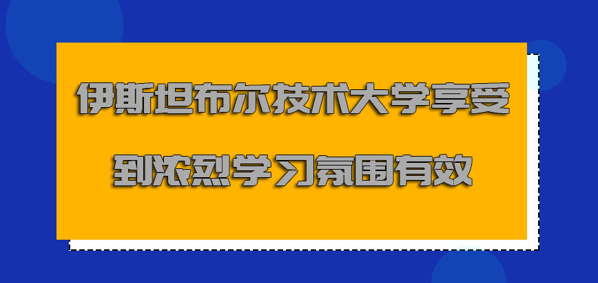 伊斯坦布尔技术大学mba享受到浓烈学习氛围是有效的