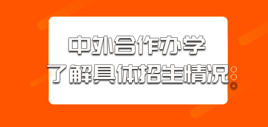 中外合作办学的方式了解具体的招生情况