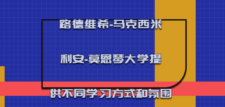 路德维希-马克西米利安-莫恩琴大学mba提供不同的学习方式和氛围