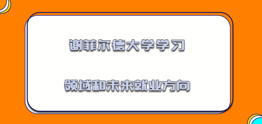 谢菲尔德大学mba学习的领域和未来就业的方向