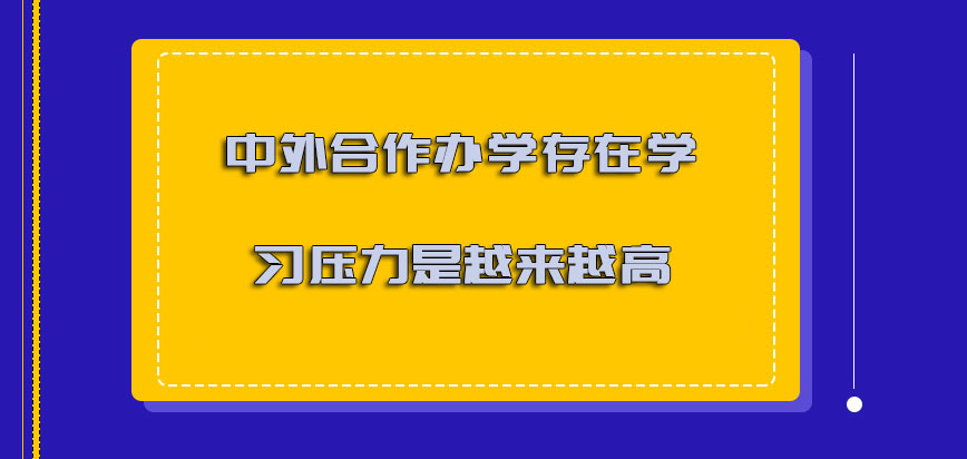 中外合作办学存在的学习压力是越来越高的