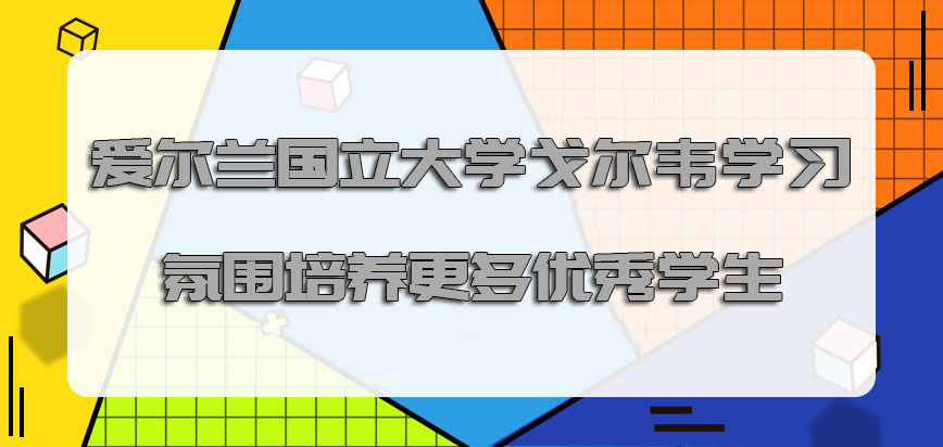 爱尔兰国立大学戈尔韦mba良好的学习氛围能够培养出来更多的优秀学生