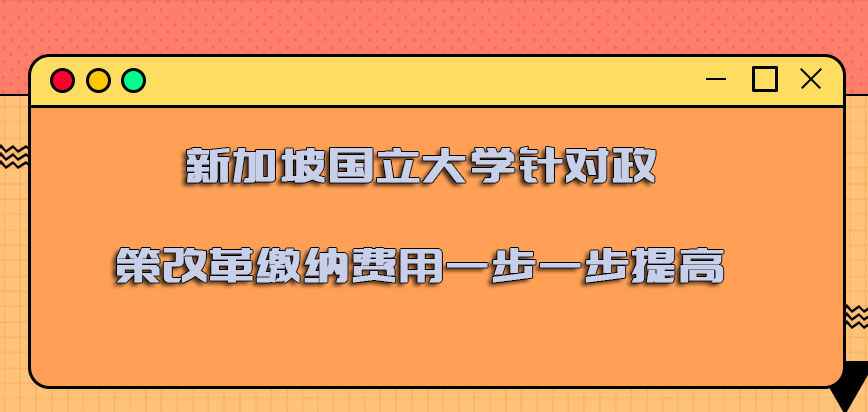 新加坡国立大学mba针对政策的改革缴纳的费用一步一步提高