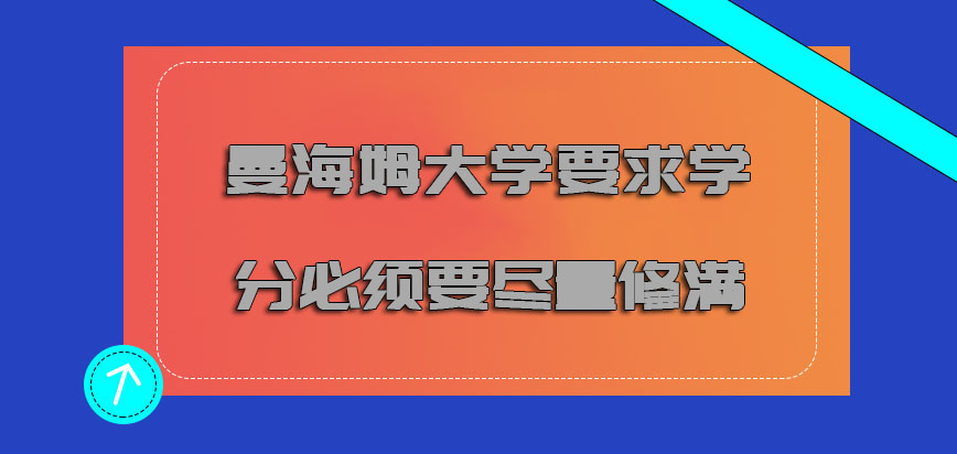 曼海姆大学mba要求的学分必须要尽量修满