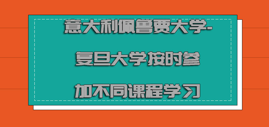 意大利佩鲁贾大学按时参加不同的课程学习