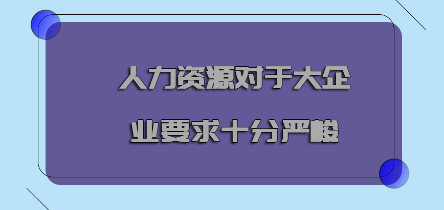 人力资源对于大企业的要求十分的严峻