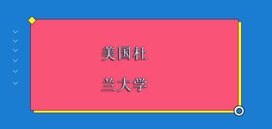 美国杜兰大学在哪里