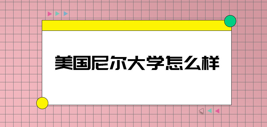 美国尼尔大学怎么样