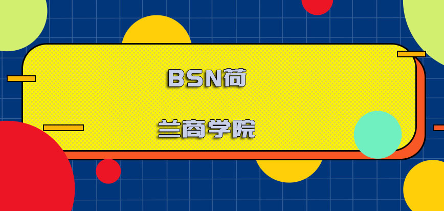 BSN荷兰商学院是真的吗