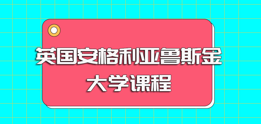 英国安格利亚鲁斯金大学课程