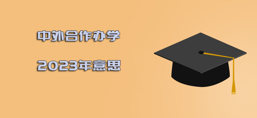 中外合作办学2023年是什么意思