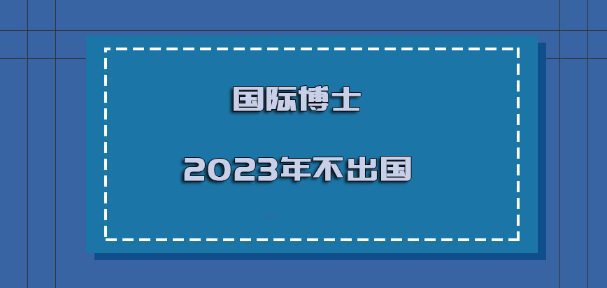 国际博士2023年不出国