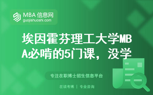埃因霍芬理工大學MBA必啃的5門課，沒學透等于白讀