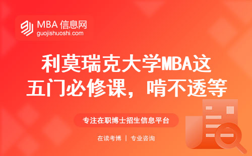 利莫瑞克大學MBA這五門必修課，啃不透等于白砸錢